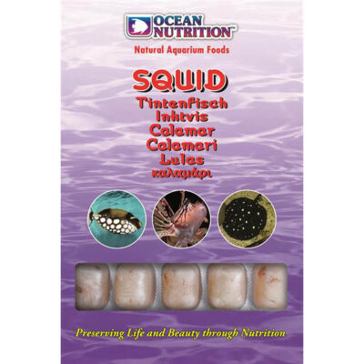 Ocean Nutrition Squid 100 g