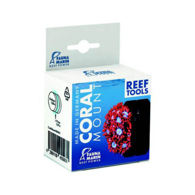 Fauna Marin Coral Mount 4 cm - Magnet für Korallen