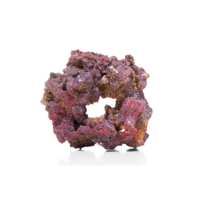 CaribSea LifeRock Donuts 4 per box