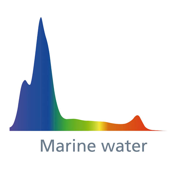 Jecod/Jebao SQL - 100MW – Bild 3