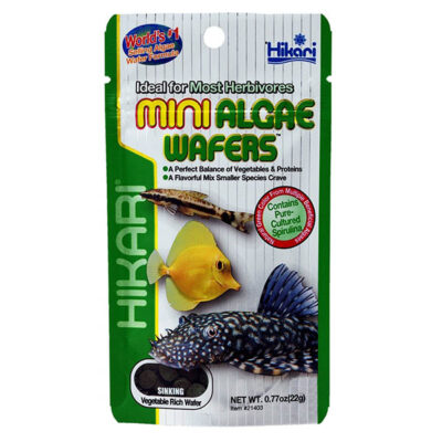 Hikari Mini Algae Wafers 22 g