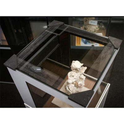 Bananaquarium Fishguard